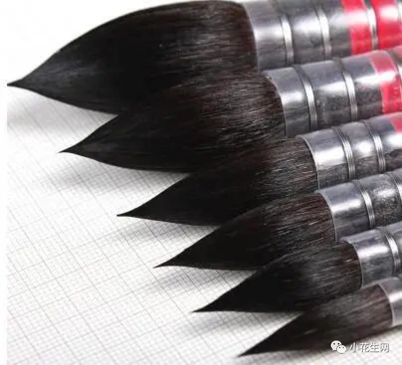 学画四年级上册美术,从零开始学绘画必备的画