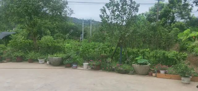 湖南陈先生30万自建农村小平房，有假山有菜园，占地1亩就是爽