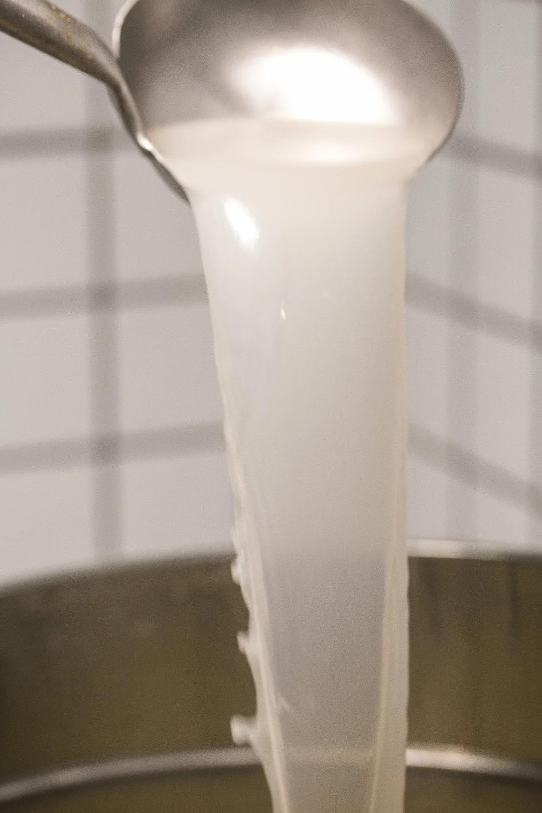 厦门沙茶海鲜面 (海鲜沙茶面厦门特产)