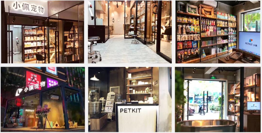 宠物店铺的主流品牌有哪些,宠物品牌现状