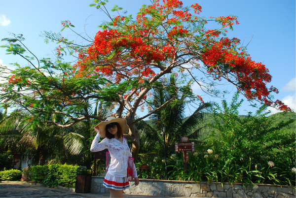 三亚海景旅行攻略,三亚椰风海岸美食攻略