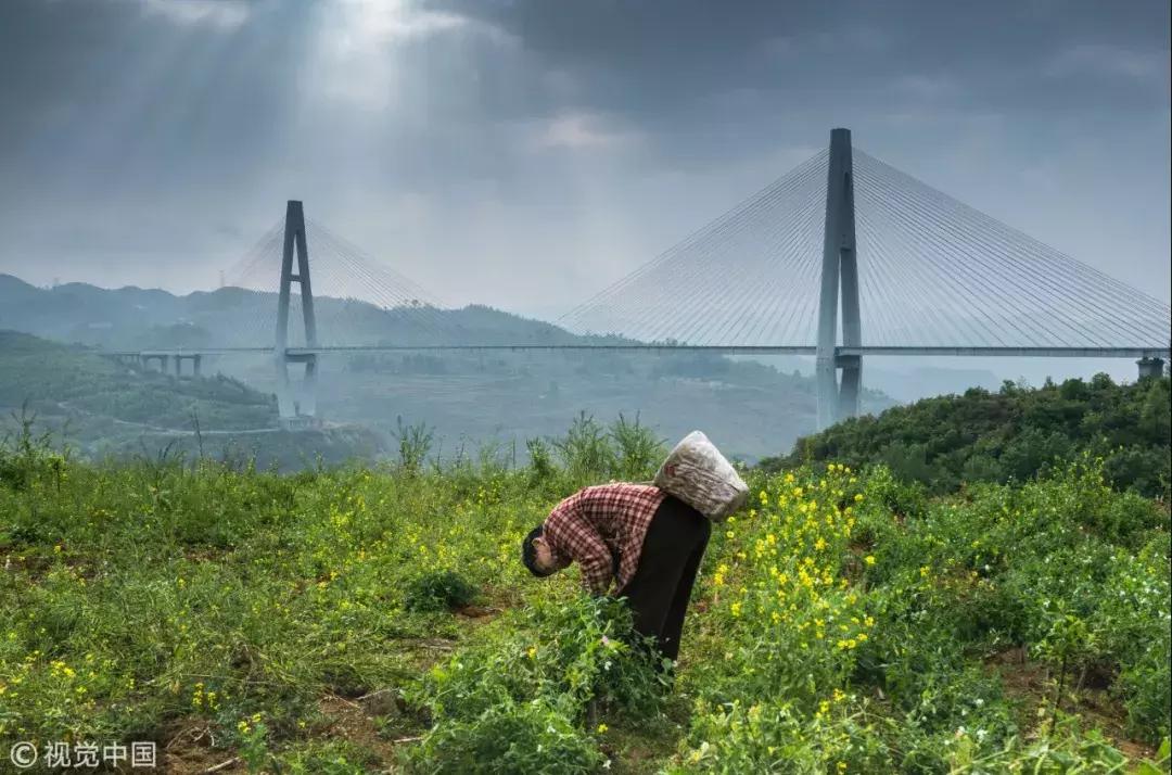 2018内容平台：都在做视频，都想做社交，都赚不到钱