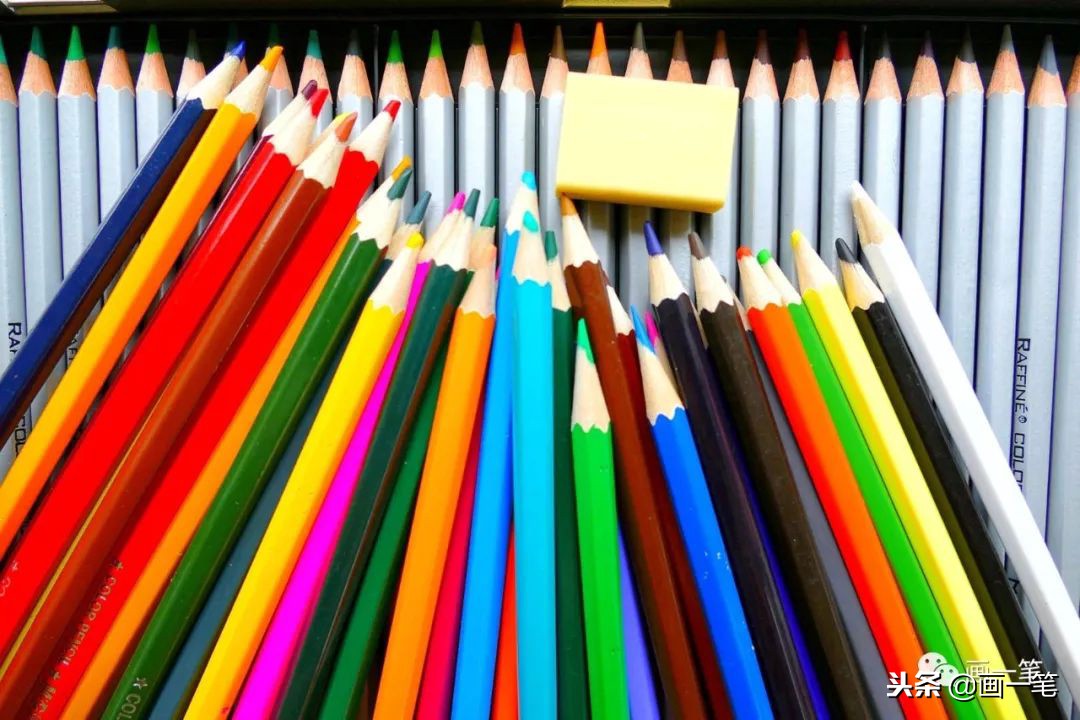 彩铅画画芒果,彩铅画画昆虫