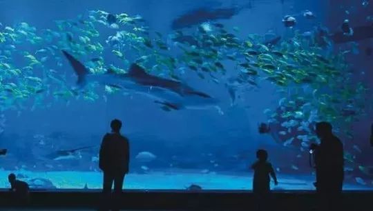 五一小众旅游线路推荐一下,收藏旅游景点