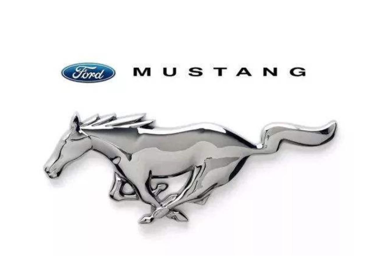 川汽野马汽车被谁收购了还生产吗,川汽野马被谁收购了