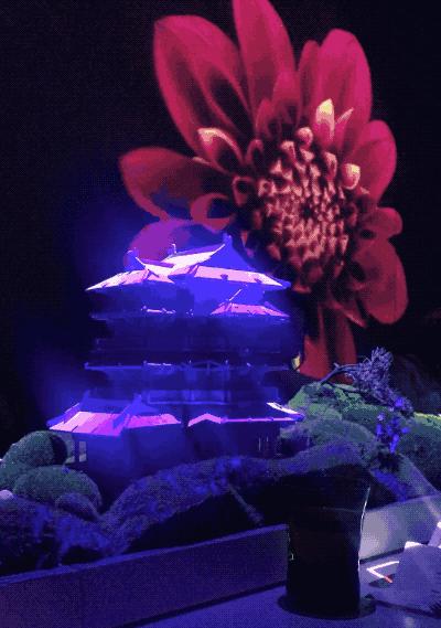 上海最贵的十大顶级餐厅排名,体验亚洲最贵的上海餐厅