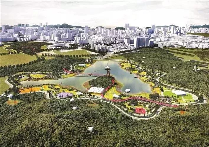 深圳光明发展最好的地方在哪,深圳光明区有什么好的地方