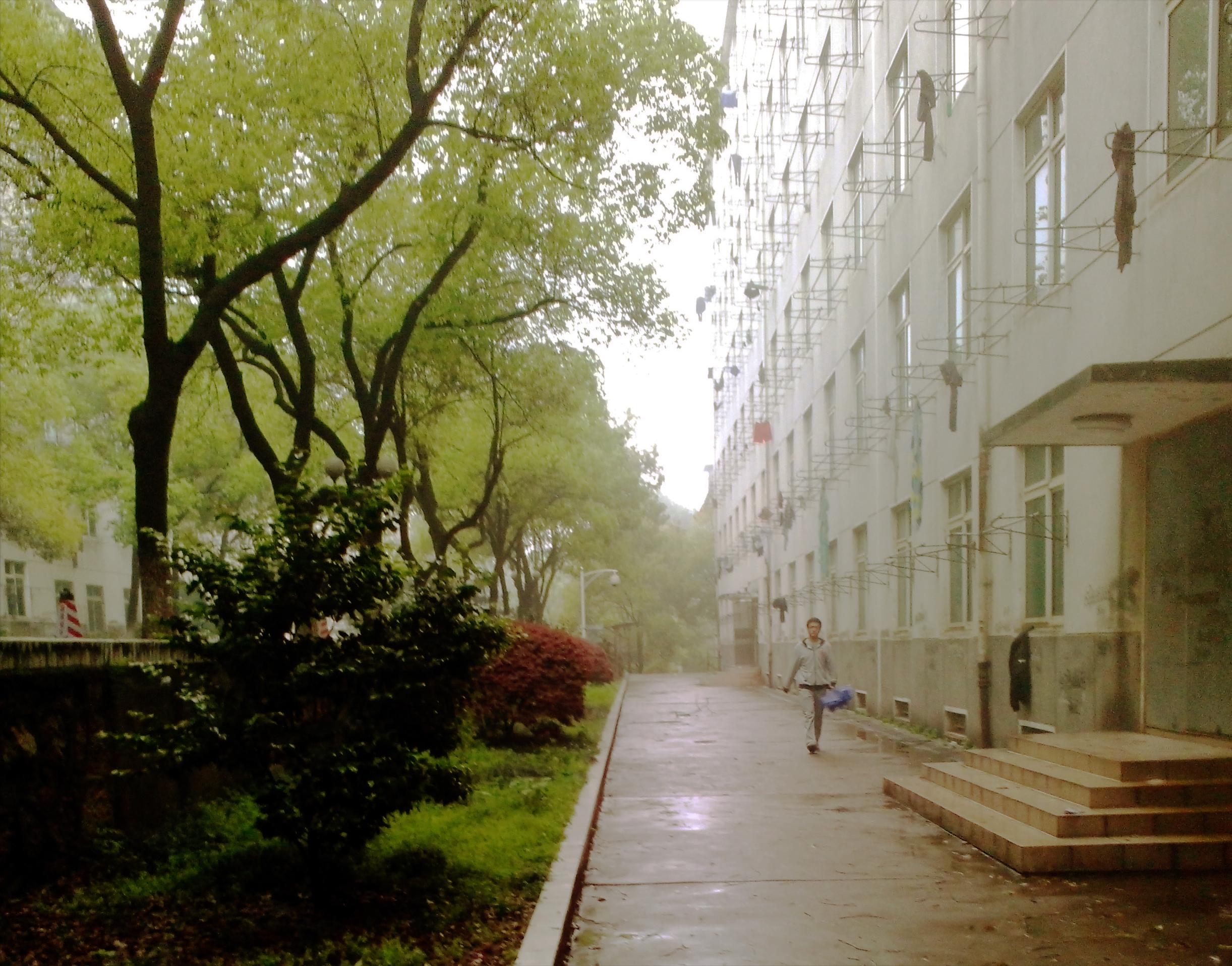 香樟往事——02宿管的女儿