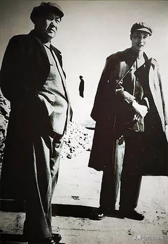 毛*东泽**过生日的轶闻趣事