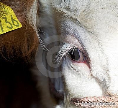 六看六查对照检查材料,六审六看