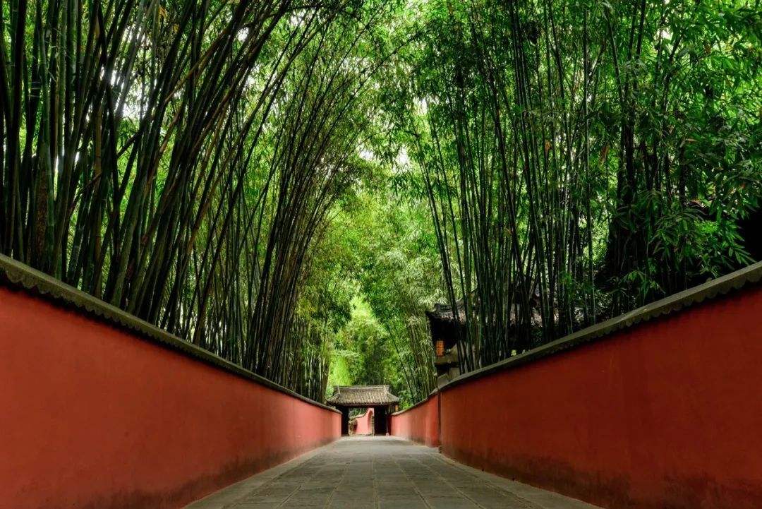 竹产业商业模式,如何推动竹产业高质量发展