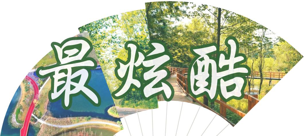 成都绿道被隔开,成都被3条路包围的楼盘