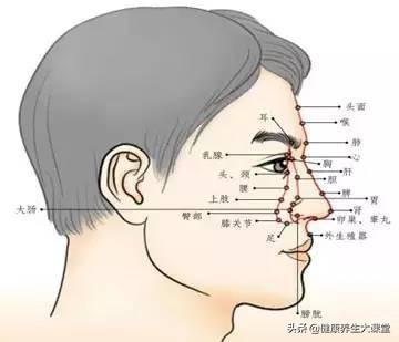 面诊鼻诊图解大全,中医舌诊面诊耳诊的好处