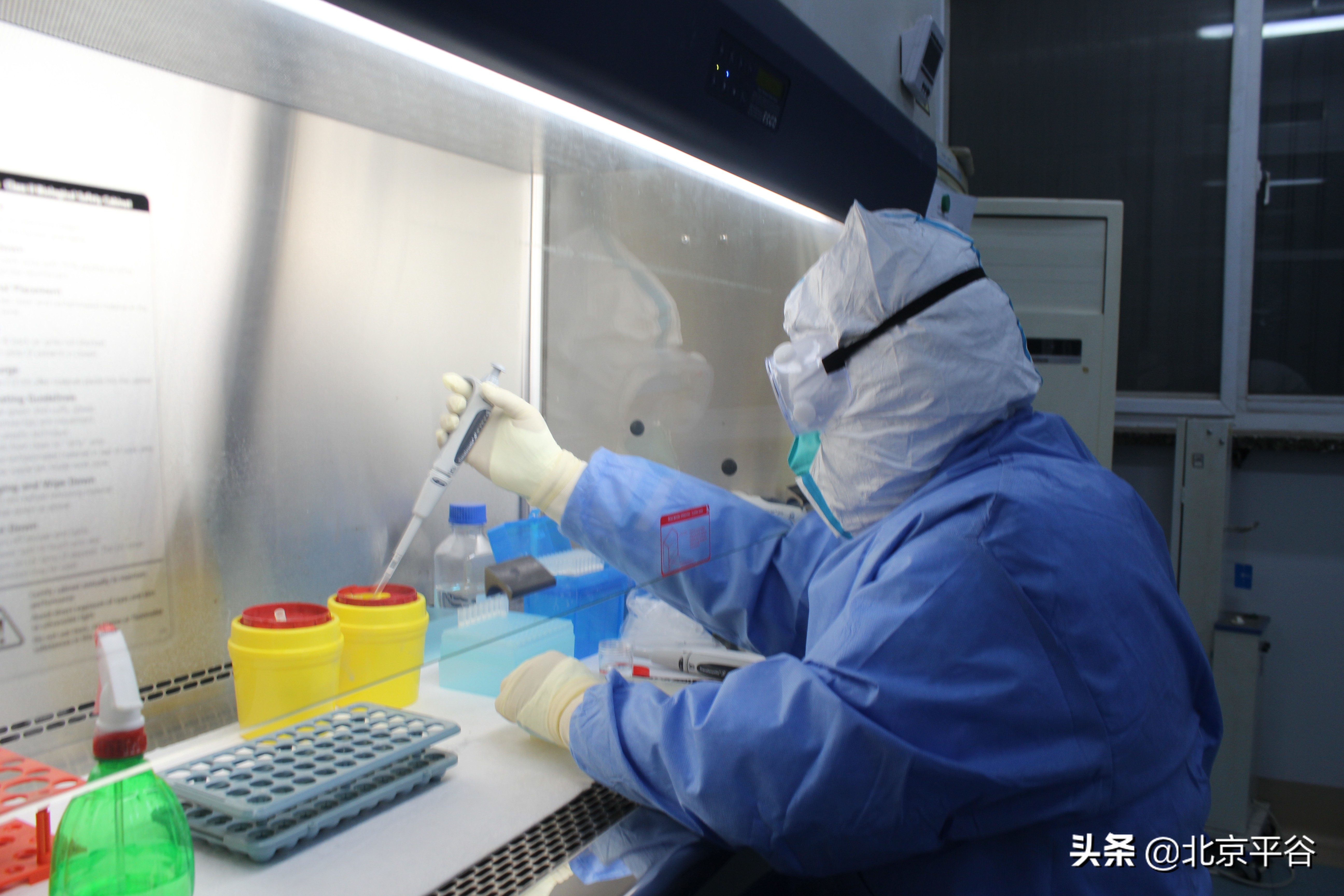 降“级”不降“防”平谷卫健系统持续疫情防控不松劲