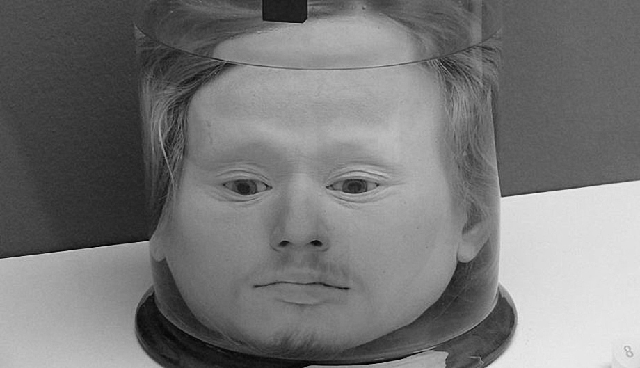 诡异幸存,诡异存活远古生物