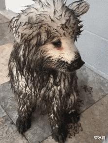 小姐姐晒自己的照片,小姐姐晒自己的图片