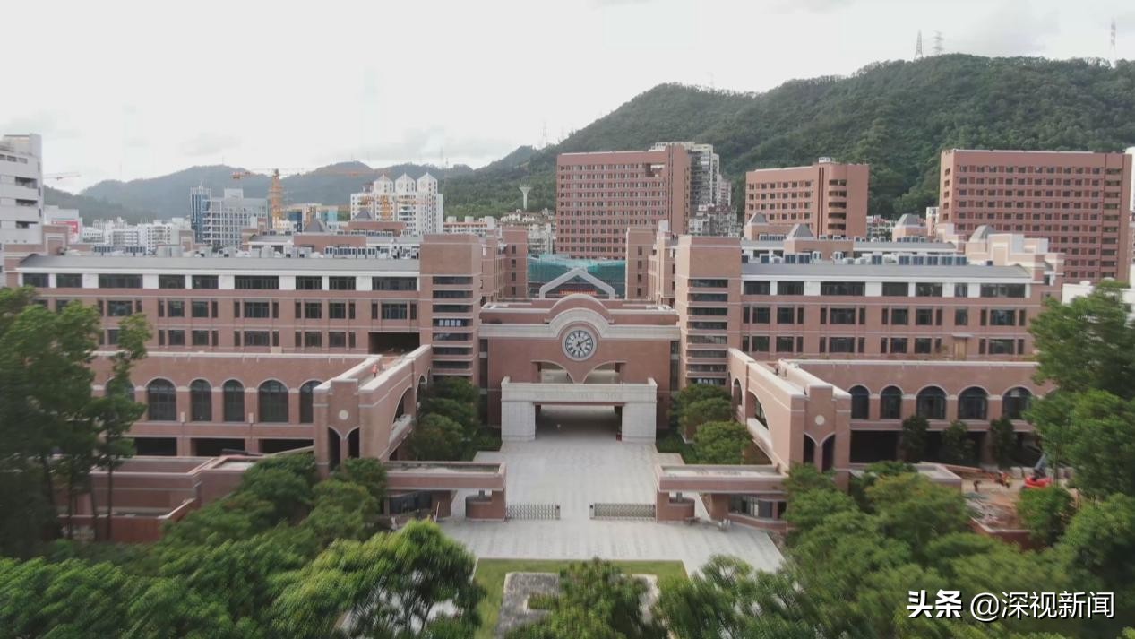 深中泥岗分校学位划分,深圳泥岗中学招生招多少人