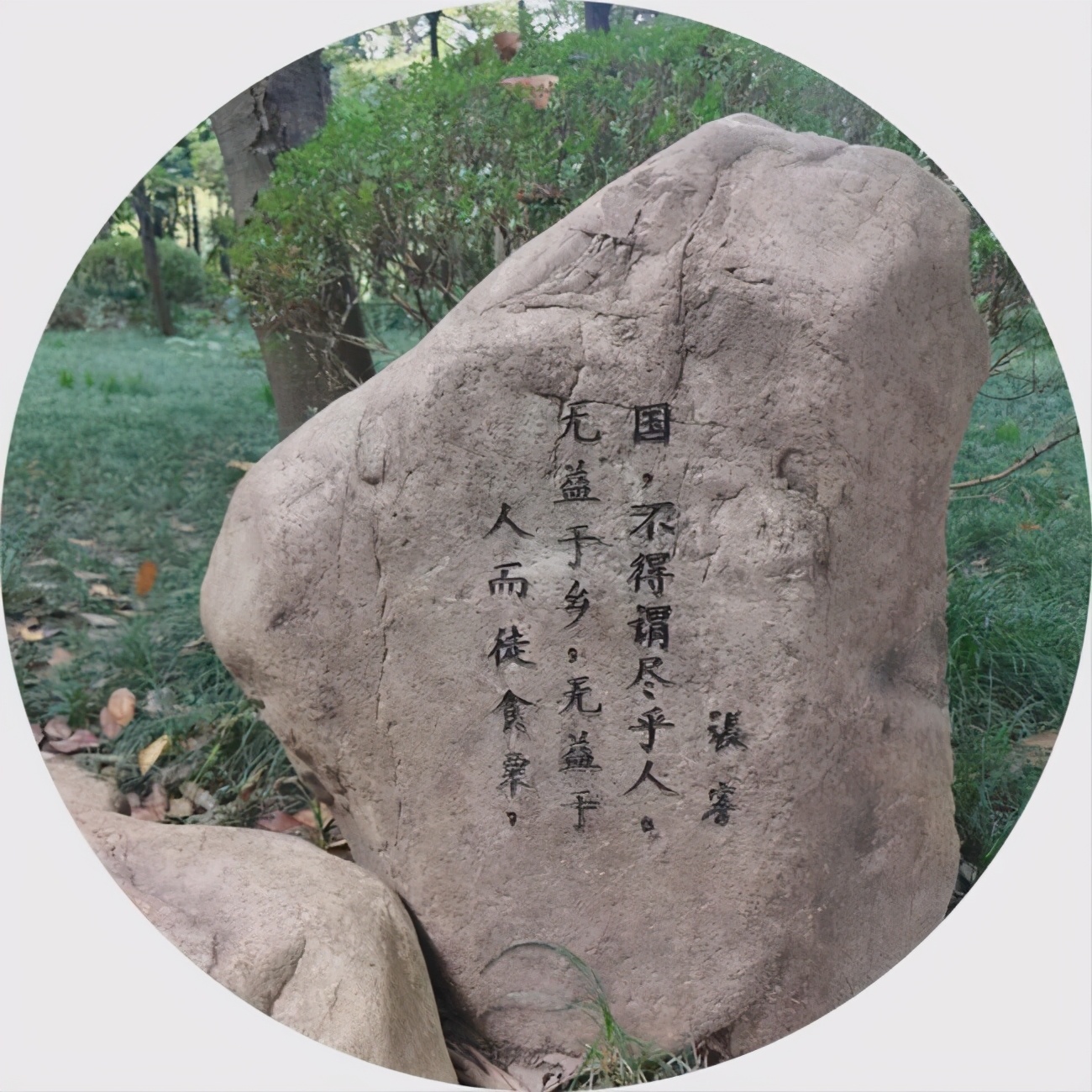 放飞的周末时光,放飞自我的周末时光