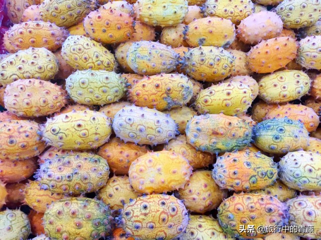 西双版纳热带雨林有什么水果,西双版纳现在有啥好吃的水果