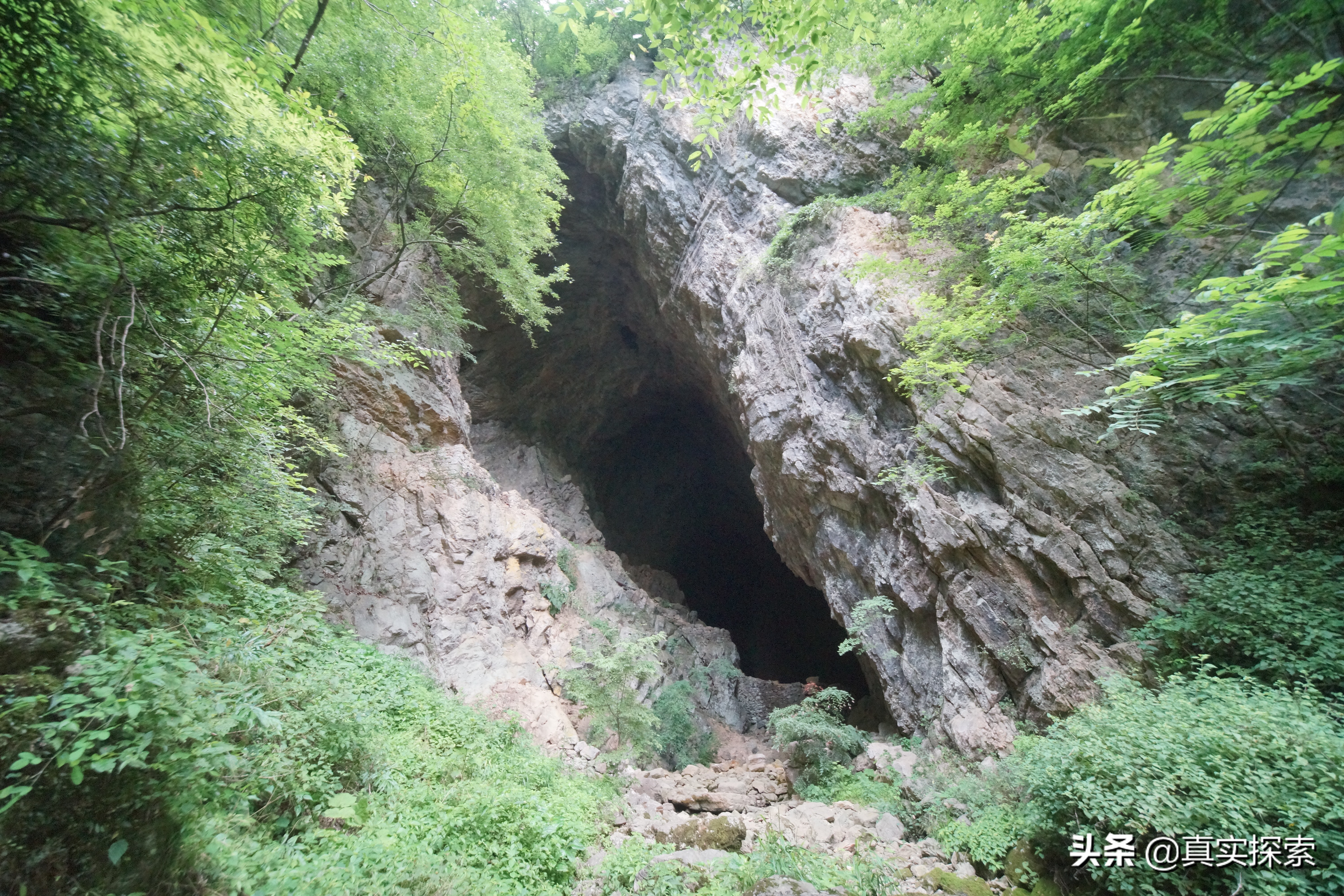 南漳老龙洞天坑视频,南漳县茅坪村老龙洞