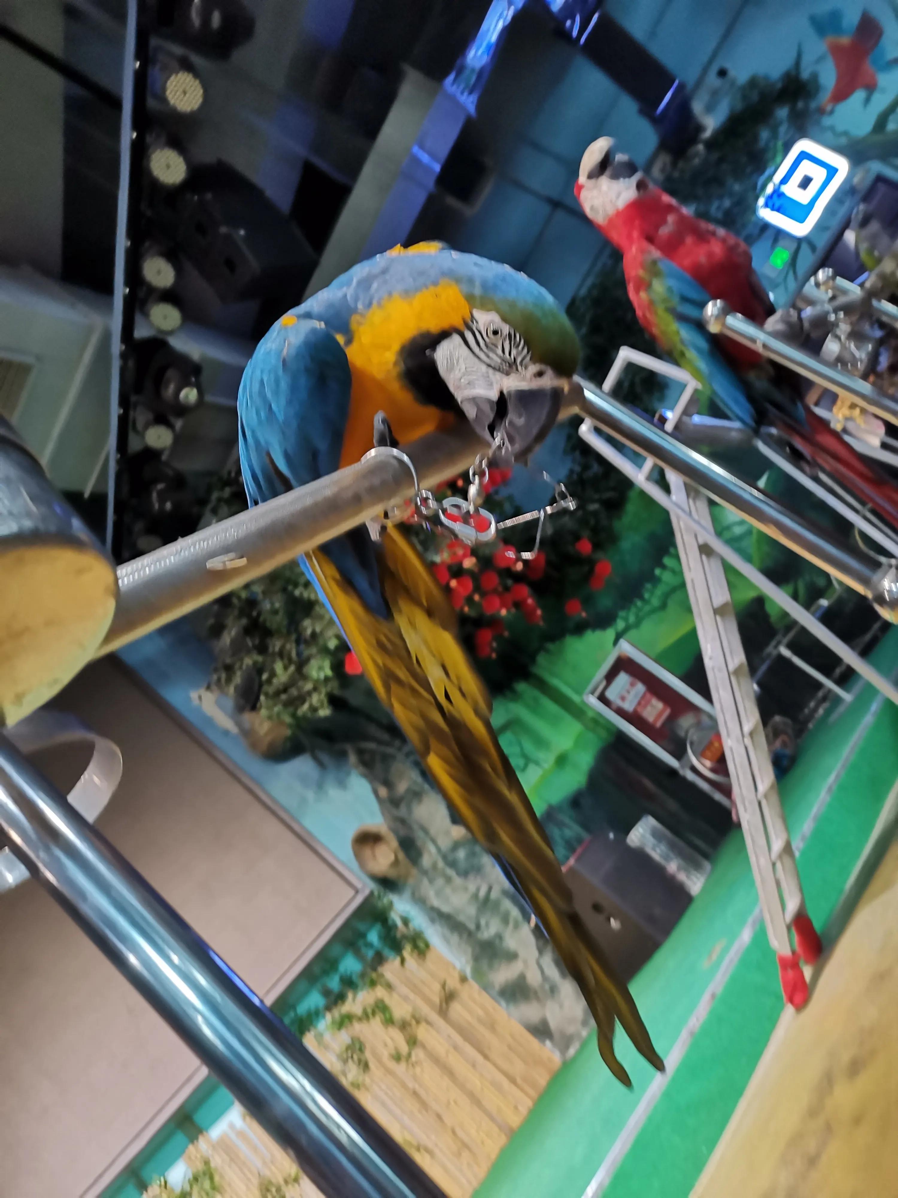 潍坊极地世界,寿光极地海洋世界人多吗