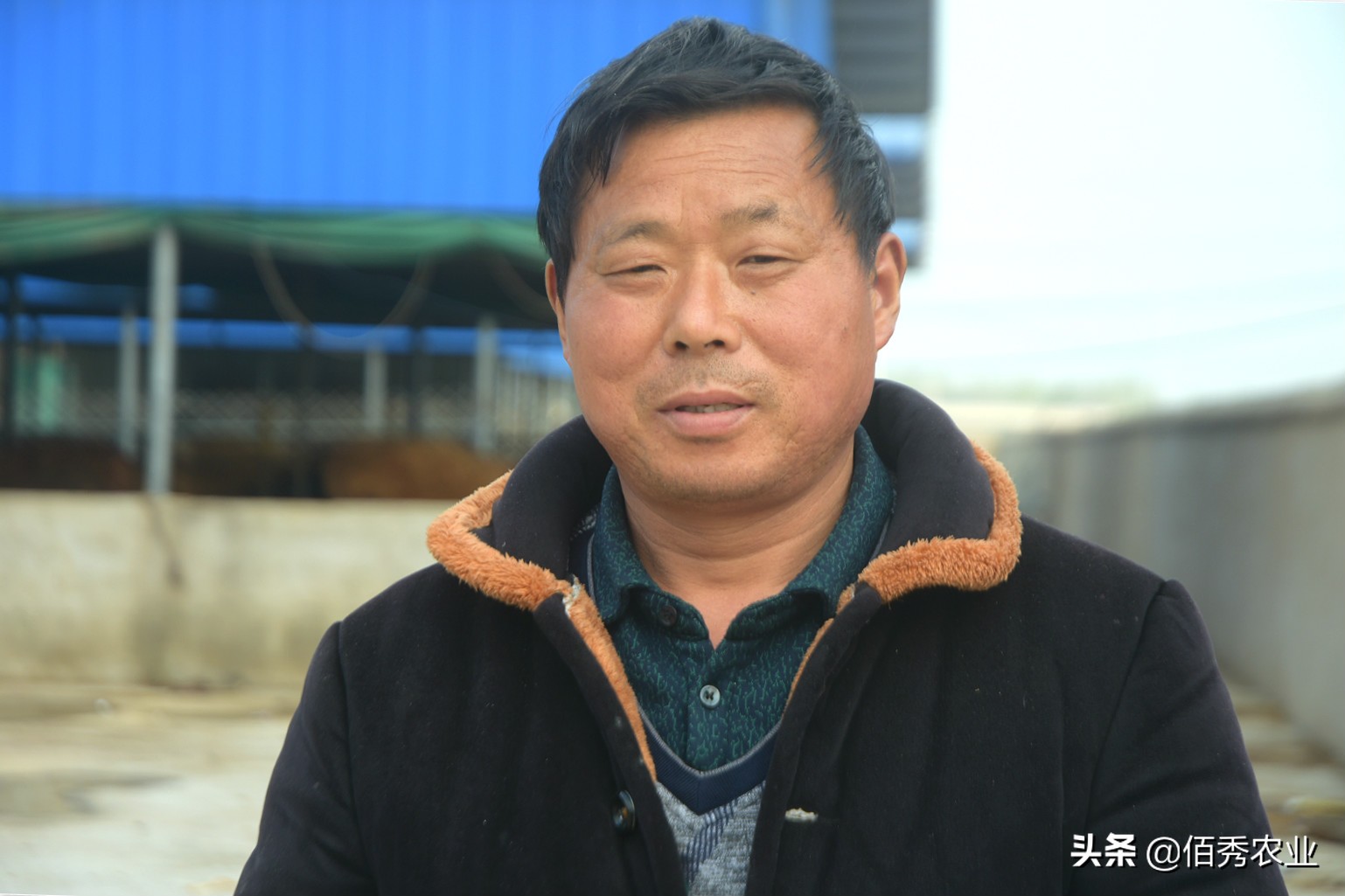 养殖20头毛驴利润,农民种植养殖年挣20万