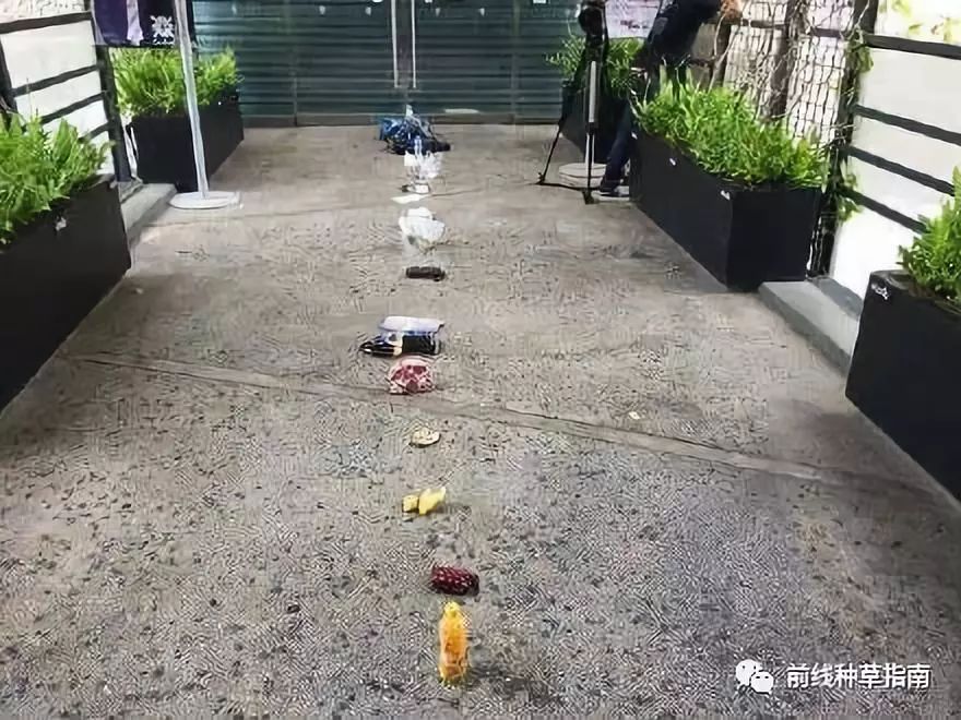 五一出游必备十大指南,五一旅游要避开哪些坑