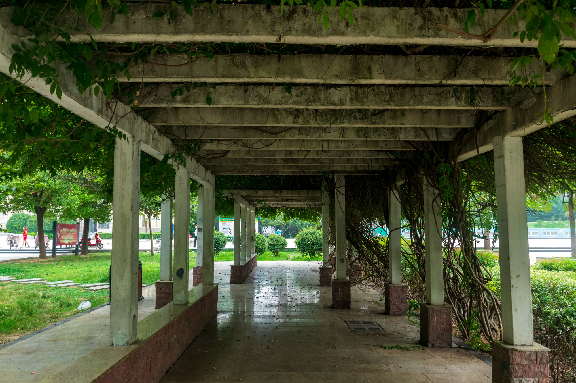 遂平县奥林匹克公园广场,遂平县奥林匹克晚会