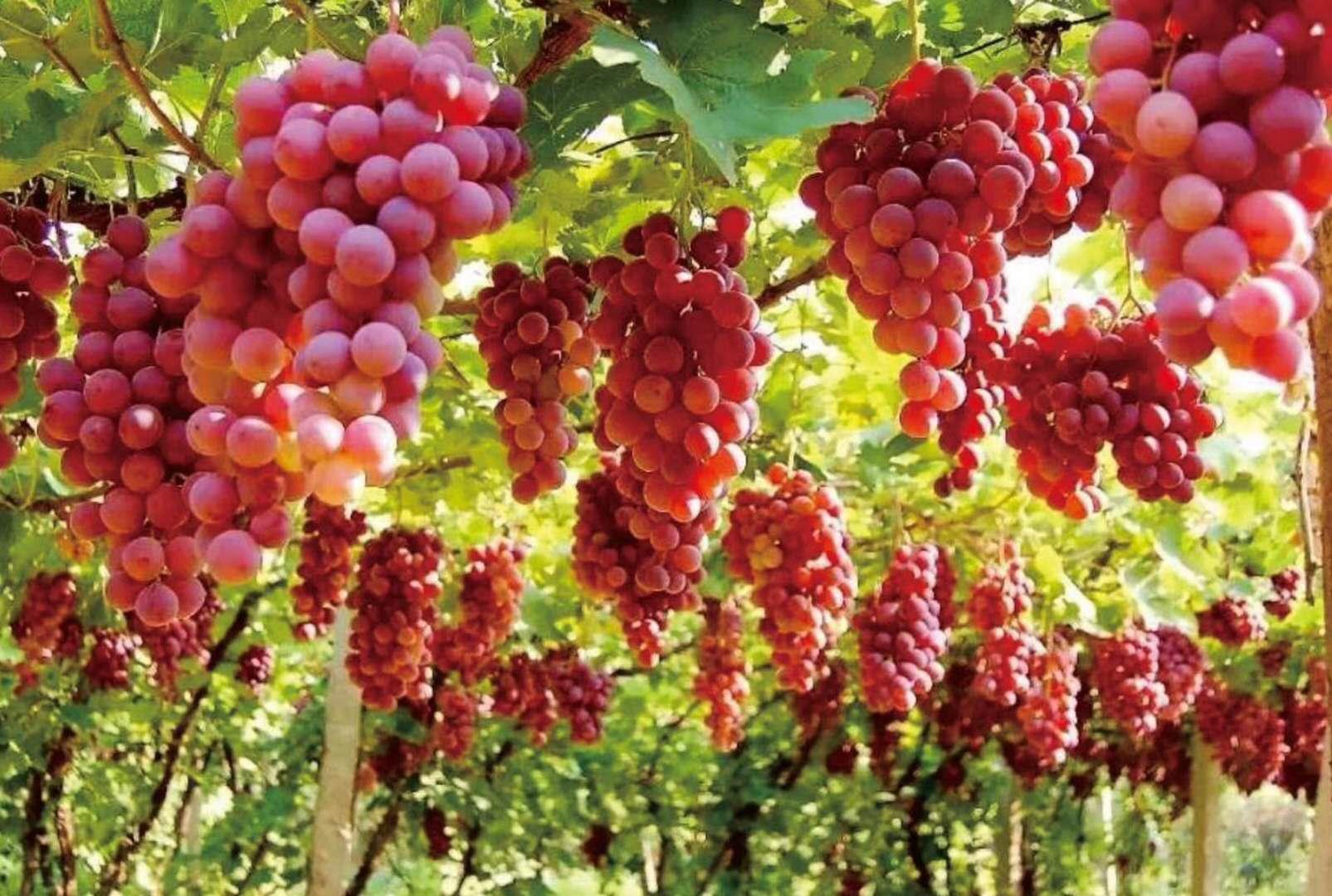 大美合阳县,大美合阳图片大全