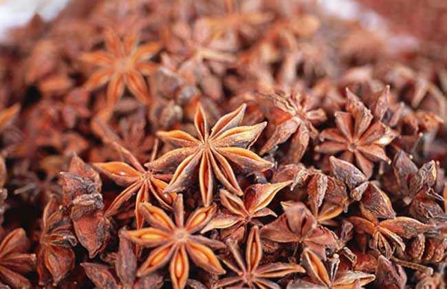 烧烤32种香料配方,全国32种最常见香料大全