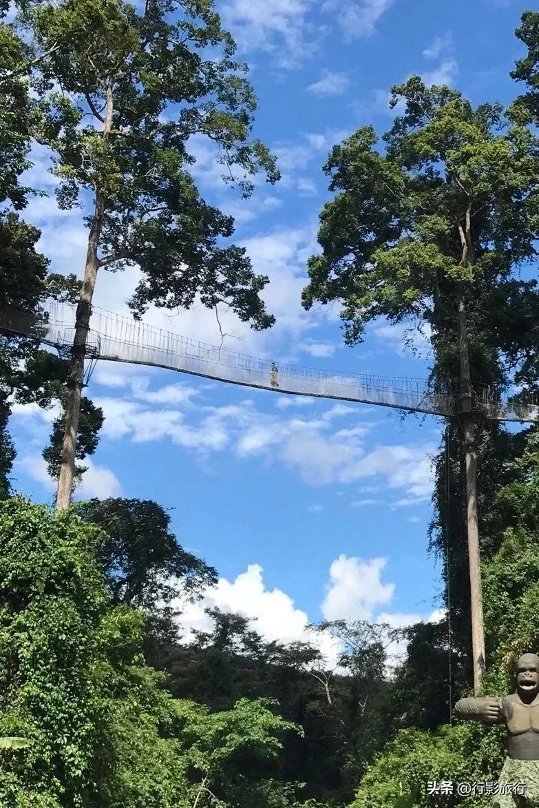 云南西双版纳地方介绍,云南西双版纳旅游简介