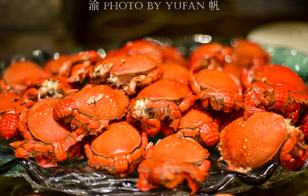 重庆游玩景点推荐重庆洪崖洞夜景,重庆除了洪崖洞还有哪里值得去