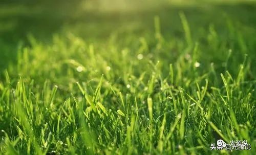 朱自清散文最经典一段,朱自清散文讲了什么