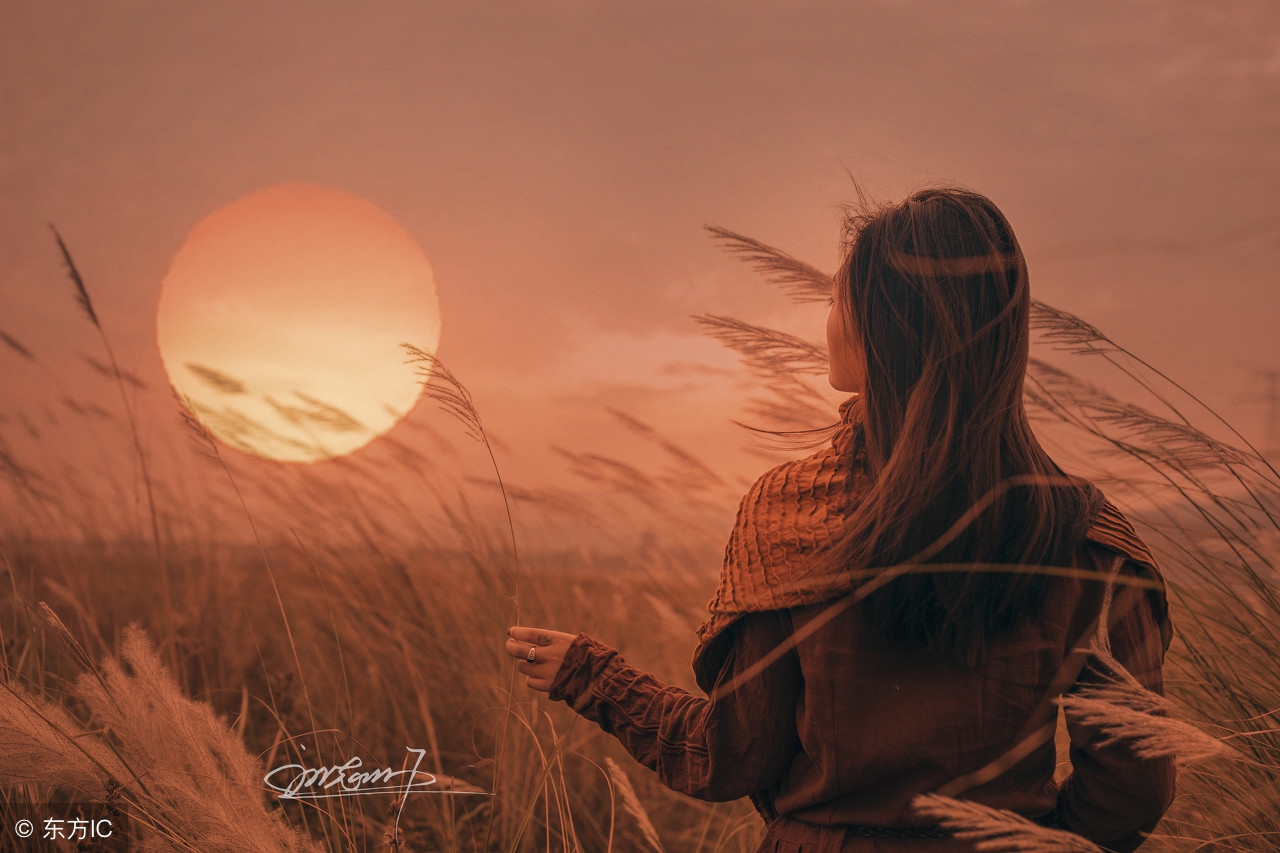 月影疏疏,月影疏疏新中式测评