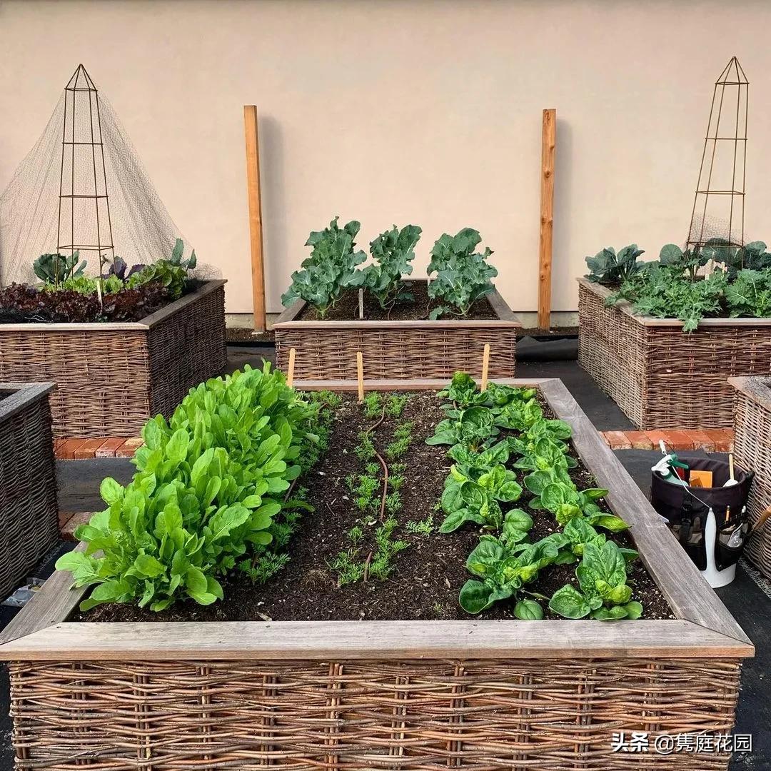 丰富又有趣的花园,花园是最能带给你身心愉悦的地方