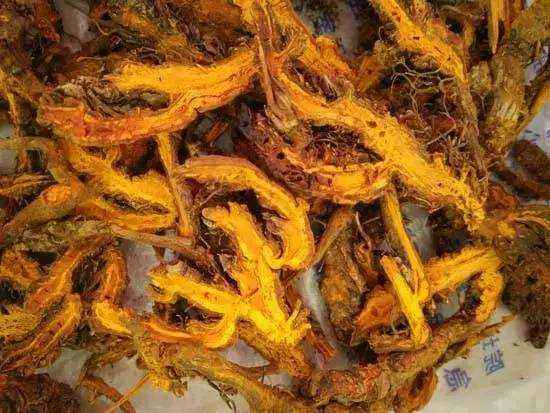 黄连的功效与作用吃法,黄连的功效与作用男性