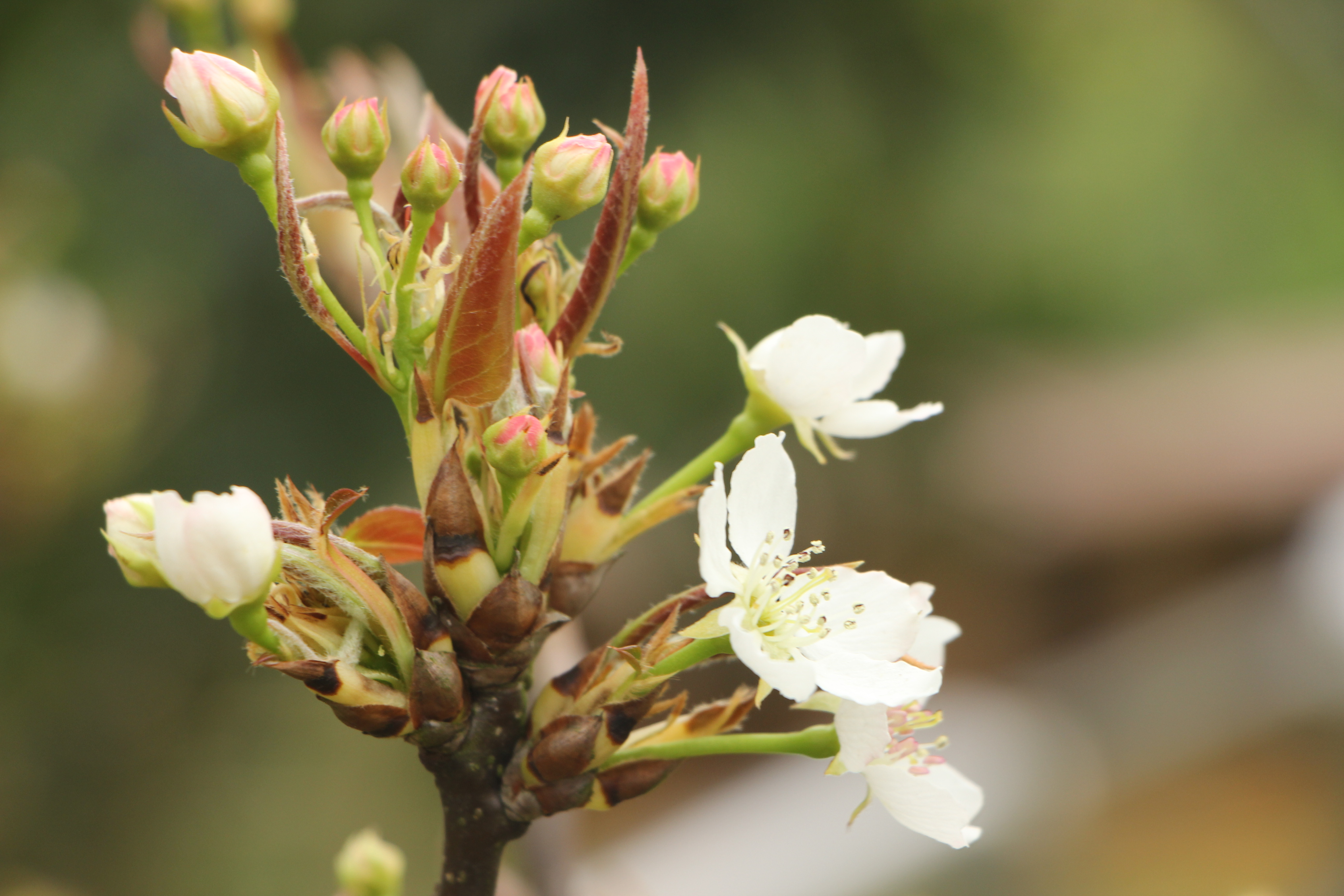 为什么老实人福气大,老实人遇见老实人会怎样