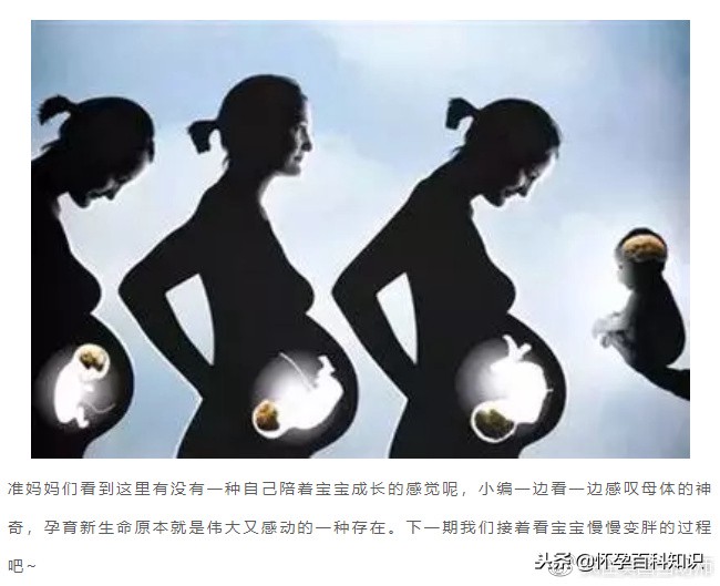 怀孕各个时期胎儿发育过程,怀孕的过程要几天