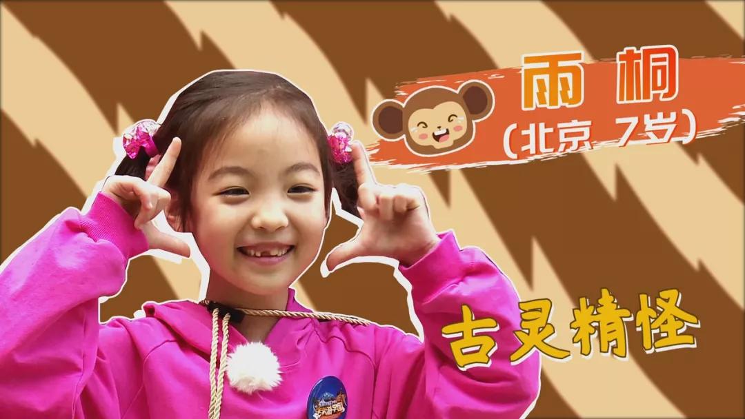 大熊猫相关知识,大熊猫百科知识详细介绍