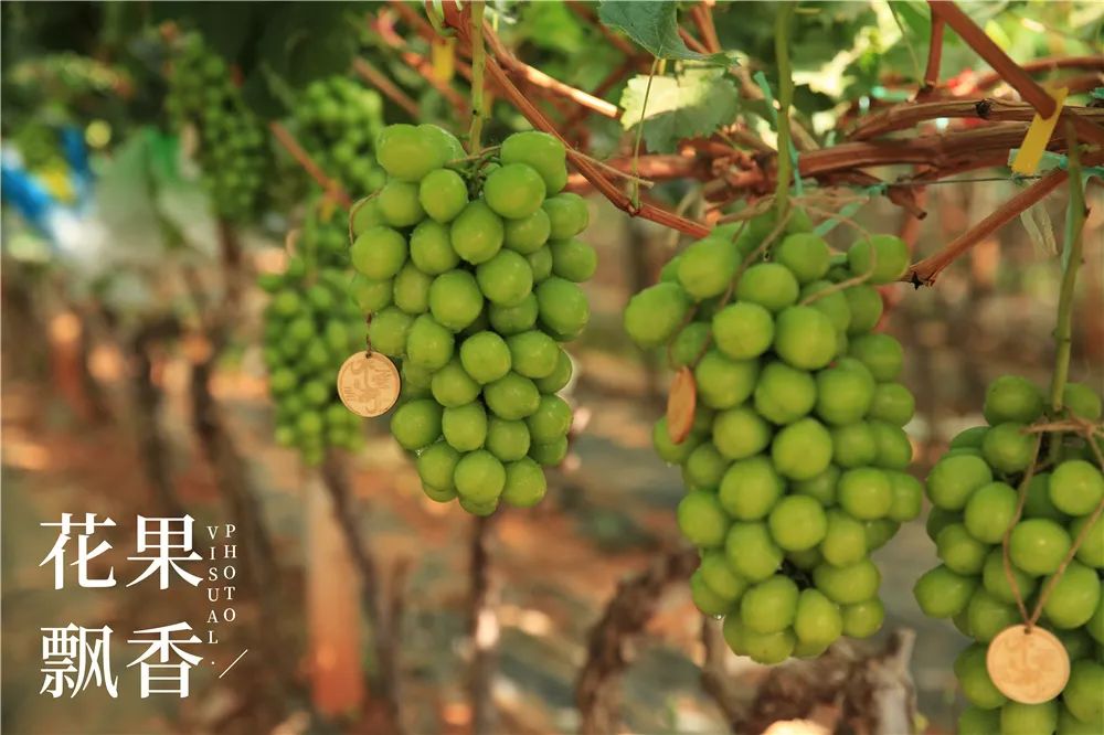 一位采购经理人的经验总结,一个采购员的真实感言