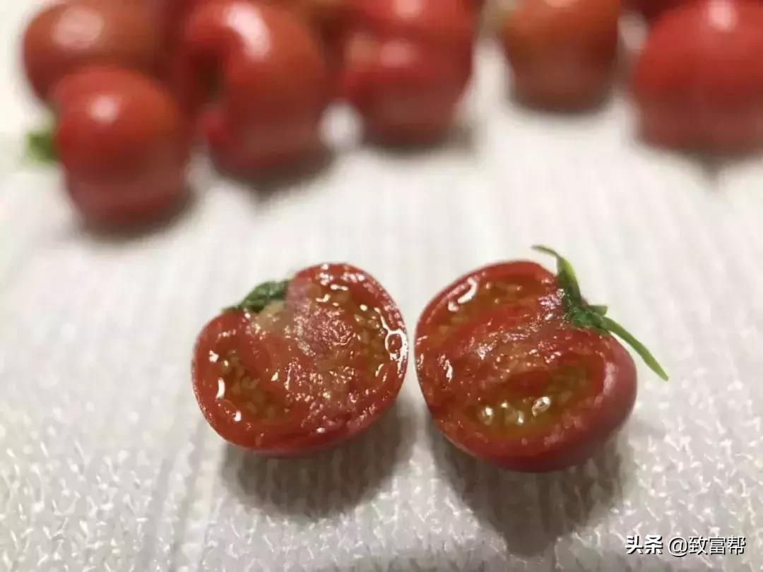 90后母亲被骗,90后妈妈因造假走红