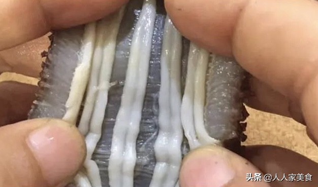 便宜海参造假全过程,买到劣质海参怎么办