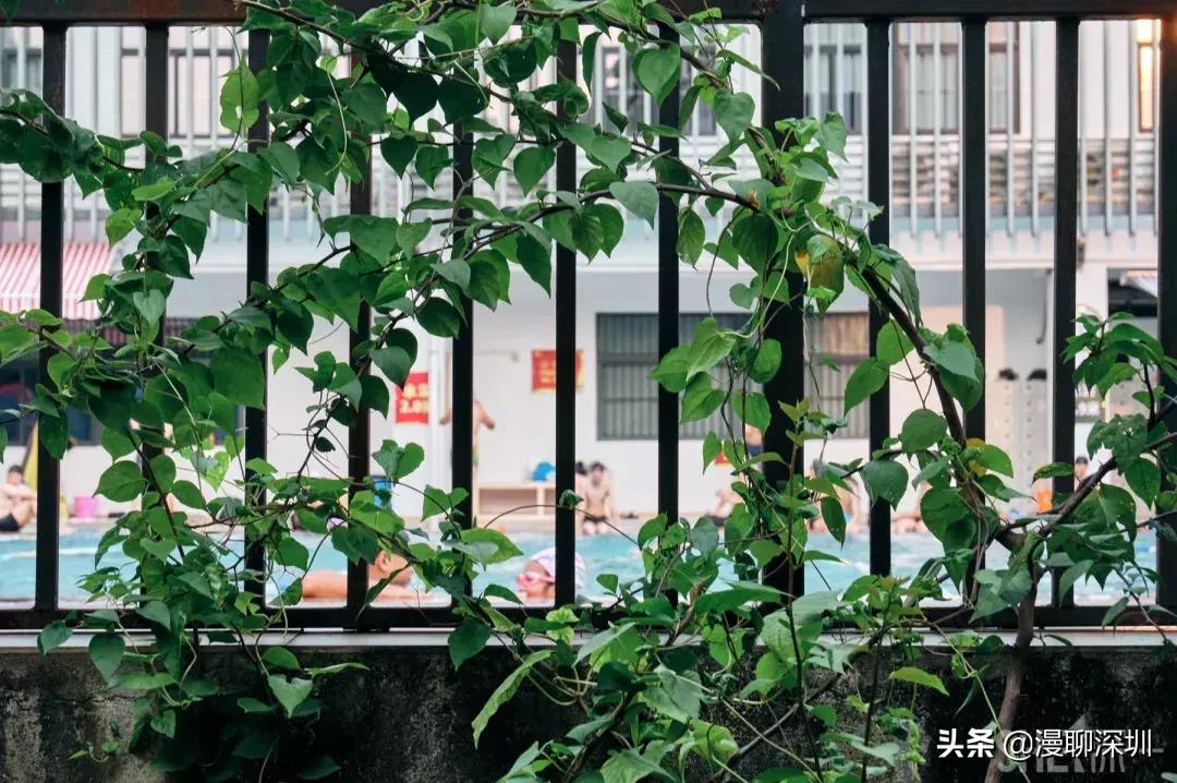 深圳益田村地址,行走深圳系列罗湖