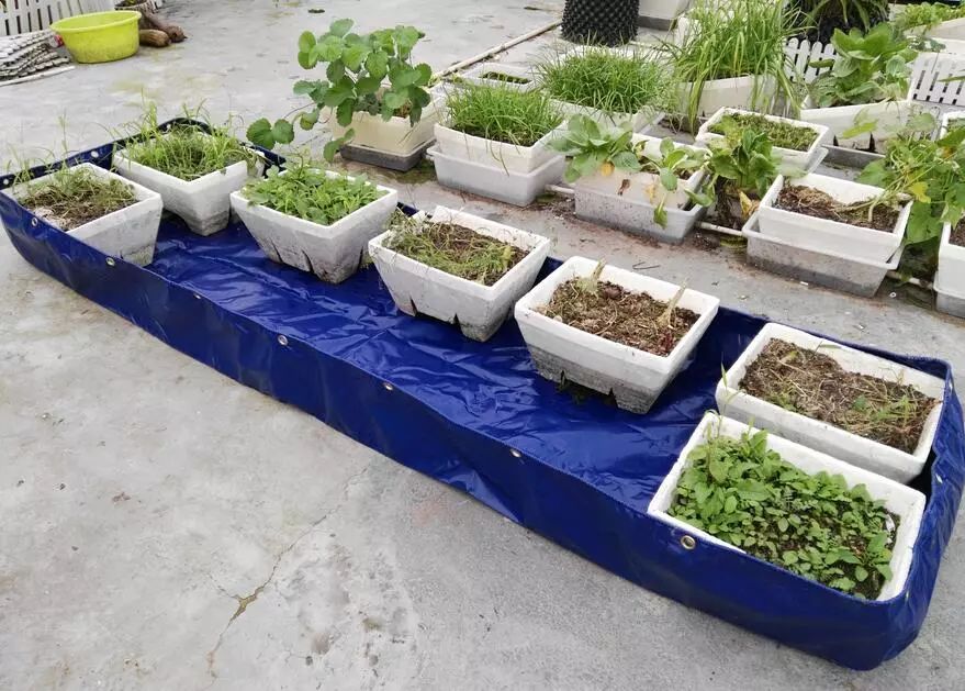 二培箱安装视频教程,池氏二培