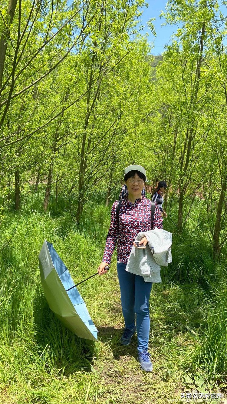 中国百慕大黑竹沟了解一下,穿越黑竹沟揭秘中国百慕大