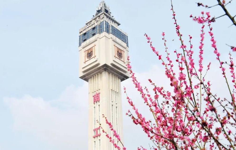 脑肿瘤与帕金森,科技进步有治愈脑肿瘤的可能吗