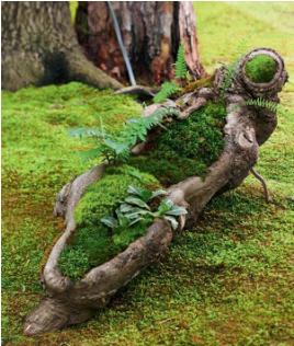 光源转变历史,人类照明历程