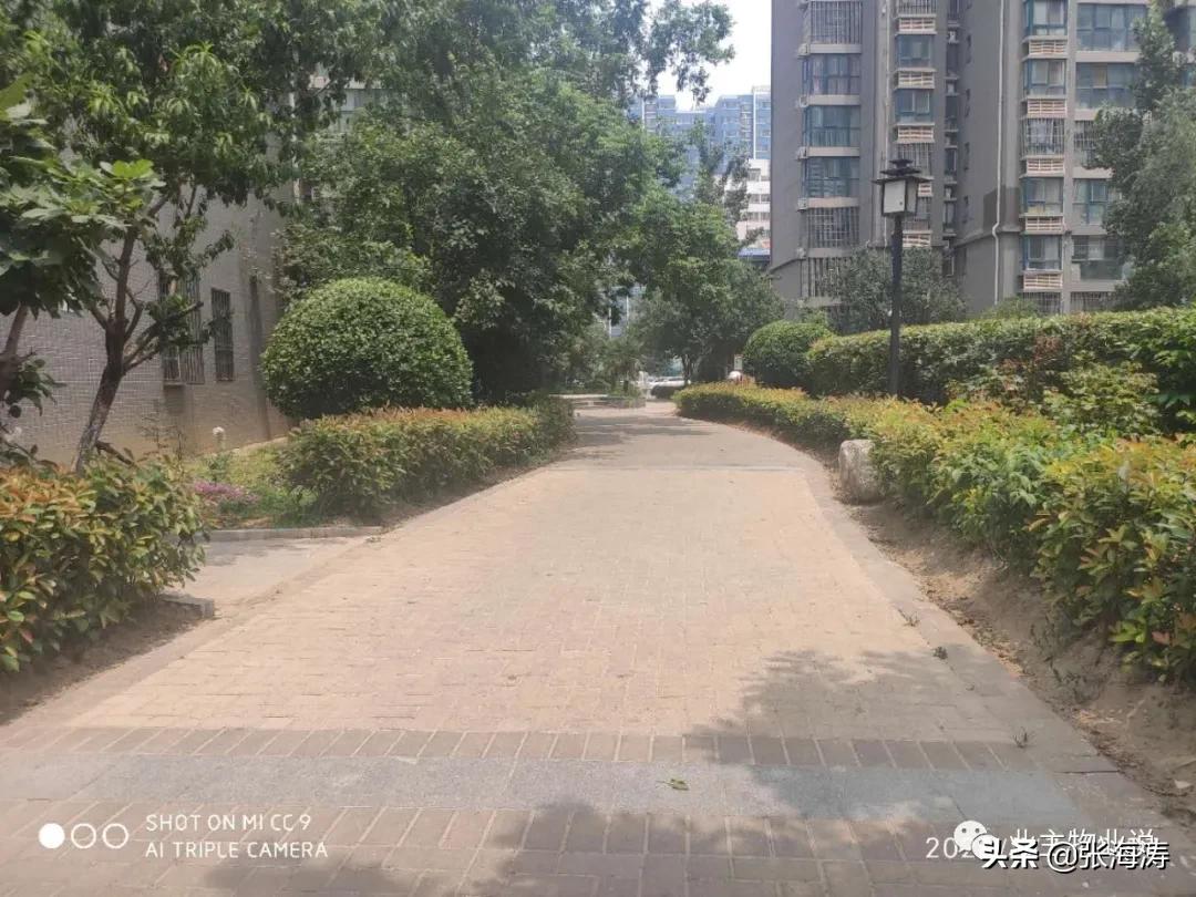 赞！旧貌换新颜，只因小区有了业主大会