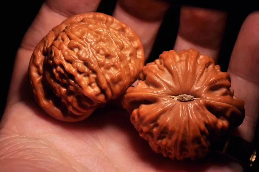 盘核桃如何快速上色,核桃上色最快的方法