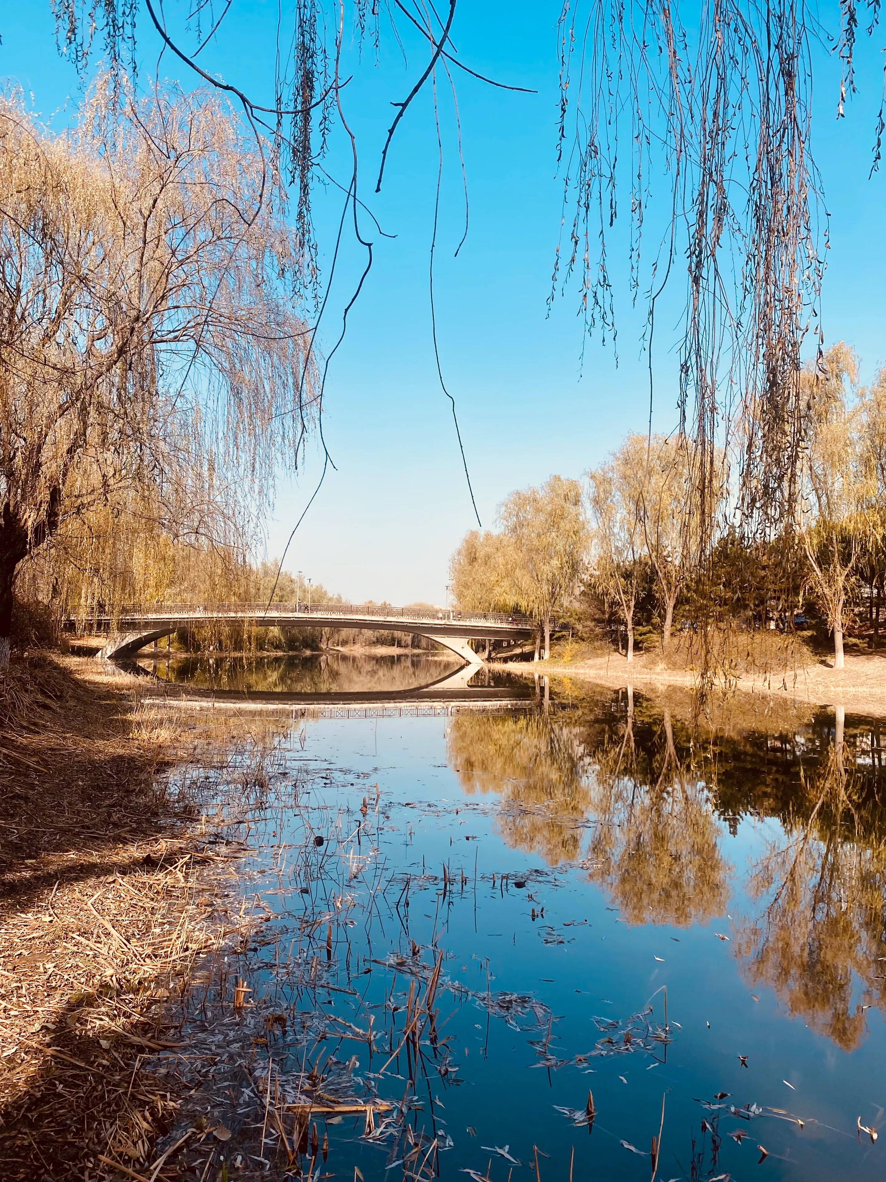 奥森冬天带娃游玩攻略,奥森公园亲子游攻略